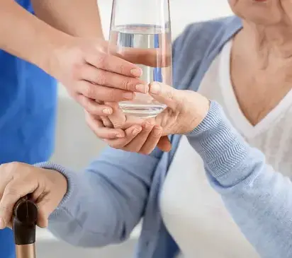 femme de ménage La Ménitré-3