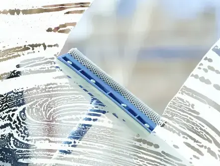 repassage à Corné - image 2